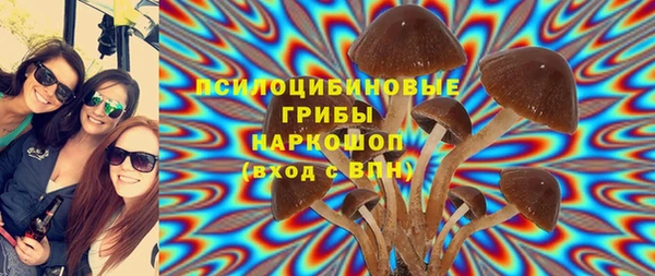 мяу мяу мука Алексин