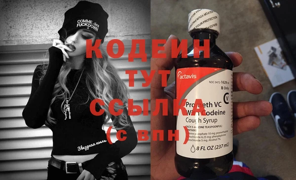 молекула духа Карпинск