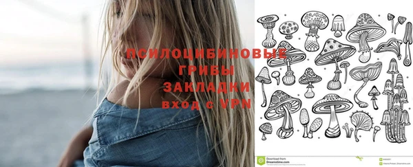трава Алзамай